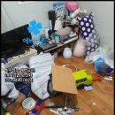 개별환경 - 속초시 | 개별환경