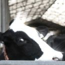 청곡농장 이미지