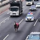 강변북로4 이미지