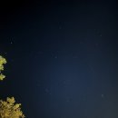 포레스트벨리 이미지