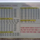 상장1리 Daum카페