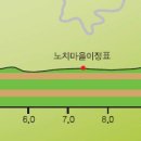 신장로조경 Daum카페