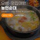 카이스트 | [대전 한화생명볼파크 맛집] 문현빈 픽! 6천원 가성비 최고 '농민순대' &amp; 카이스트 벚꽃 나들이 🌸