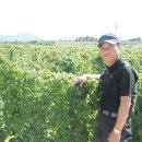 태백농장 이미지