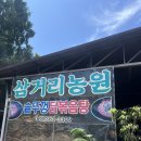 다란농원 | 담양점심 고민 끝! 현지인도 줄서는 진짜 담양현지맛집 | 솥뚜껑 닭볶음탕 맛집 - 담양 삼거리 농원