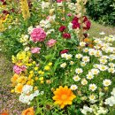 현대자동차 연지점 이미지