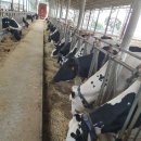 비전목장 이미지