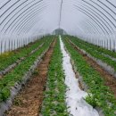 (주)엘엔티이 이미지