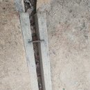 5월5일(월) 블루베리 풀뽑기, 영봉정, 블루베리 살충제 구입 이미지