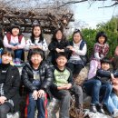 진정초등학교 이미지