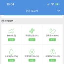 삐약스핏 이미지