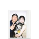 영춘사진관 | [경주] 영춘 : P 폴라로이드 사진관 내돈내산 촬영 후기 (반려견 동반🐶 가능)