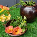 합천나우누리펜션 이미지