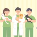 수제산업동물병원 이미지