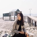 시월애 - 세종특별자치시 | 시월애