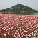 영등동-63 이미지