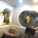 스테이 와이(Y) 이미지