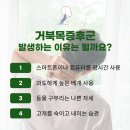 서울필병원 이미지