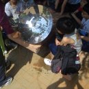 일산초교 이미지