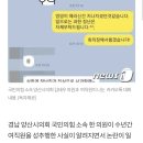 여직원 "엉덩이 때리고 뽀뽀 자제"에 국민의힘 양산시의원 "감사 의미"…성추행 파장 이미지