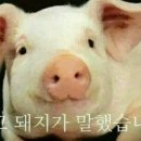 병목안 캠핑장 이미지