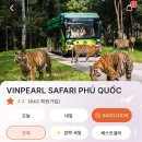 뉴월드나이트 | [푸꾸옥] 빈펄 사파리 나이트사파리 예약 후기 l 공식앱 예약 방법·시간대·가격 비교 총정리