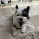 더위크앤리조트(더우프앤) 이미지