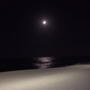 그날의찬