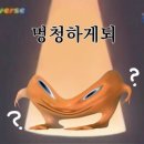 깨비 애견미용 | [일상] 7월