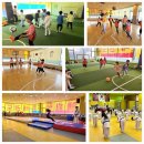 액티브경희태권도장 이미지