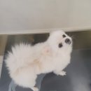 해랑동물병원 이미지