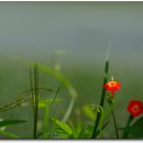 서일여행 이미지