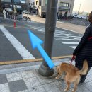 세븐일레븐 부산해운대미포점 이미지