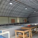 나는어부다 참전복 이미지