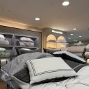 헤네시 | 알레르망이불 헤네시 신혼이불 내돈내산 후기