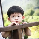 수목원펜션 이미지