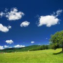 초록풍경 이미지