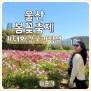 GM대우울산중구바로정비 | 울산 태화강국가정원 봄꽃축제 일정 정보 위치 총정리 실시간 개화상황 후기