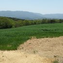 경주 태양광발전소 이미지