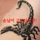 전갈샵 이미지