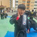 문현현대아파트경로당 | 성장기록 문현강호합기도 Team다움 합기도 시범공연