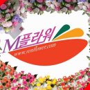 은하수공원장례식장근조화환꽃집