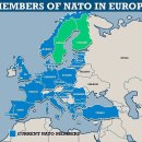 Sweden officially signs NATO application 이미지