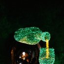 와인터널 이미지