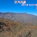 신봉골 티스토리