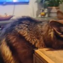 수심경로당 이미지