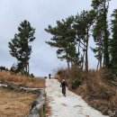 용강목장 이미지