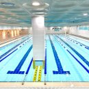 음파음파 수영장 이미지