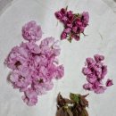 소호약국 이미지