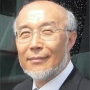 조원자동차 티스토리